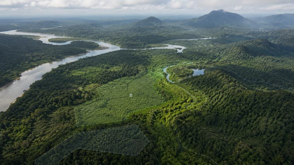 Tropical canopy and river with Gaïa environmental mapping overlays