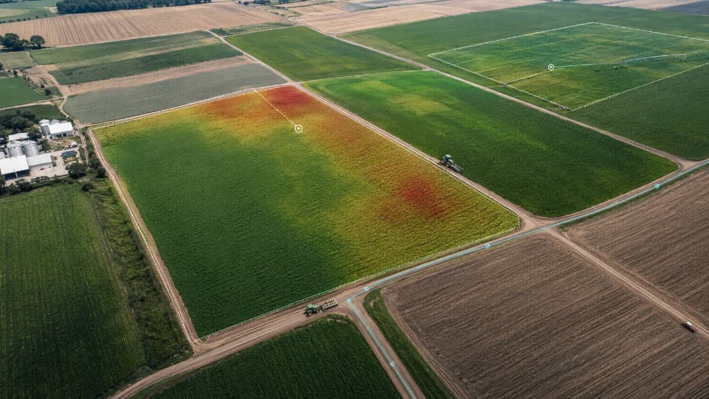 Agricultural fields