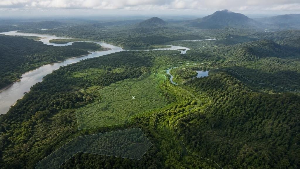 Forest area seen from the sky